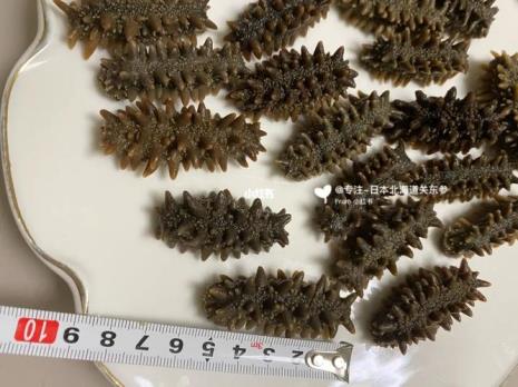 北海道海参有辐射吗