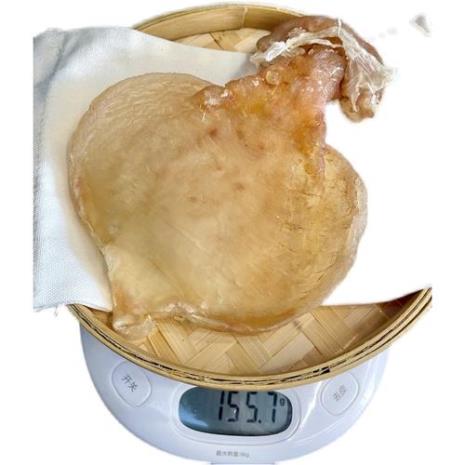 赤嘴鳘是什么生物