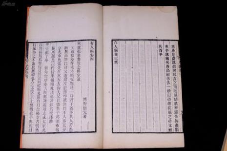家词是什么意思
