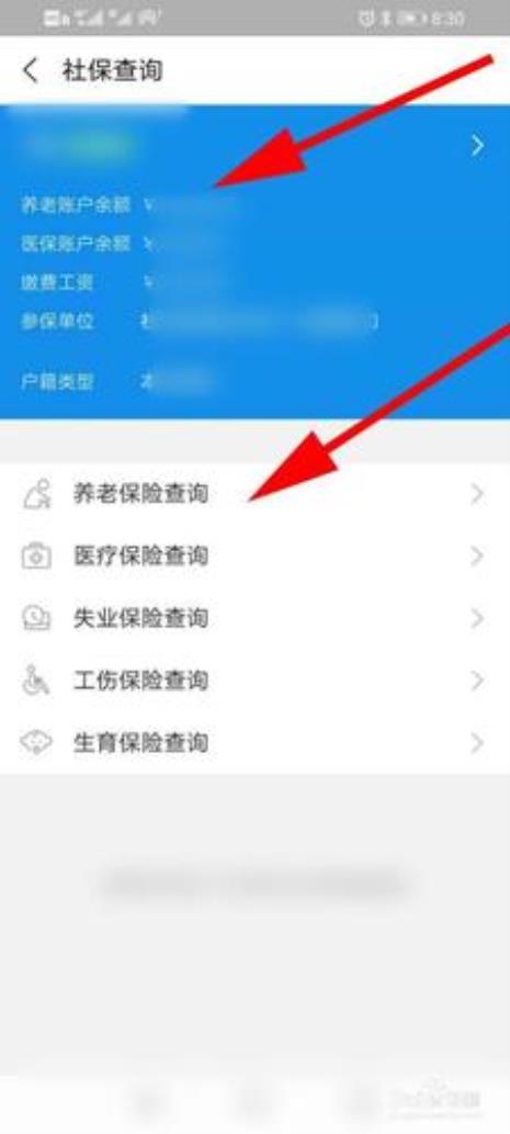 多个社保账户怎么查询社保信息