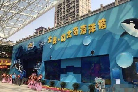 重庆海洋馆哪个最好玩