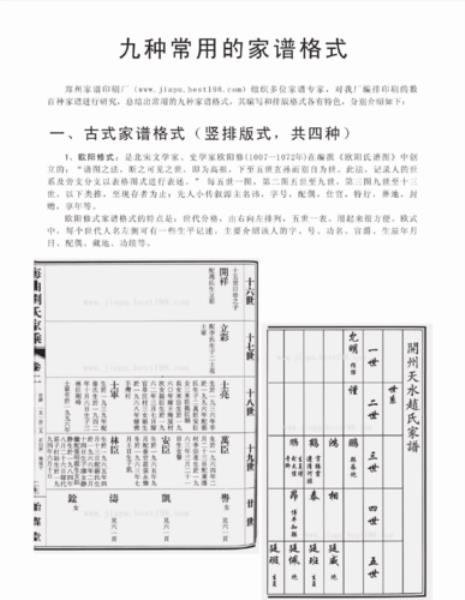 现代家谱格式