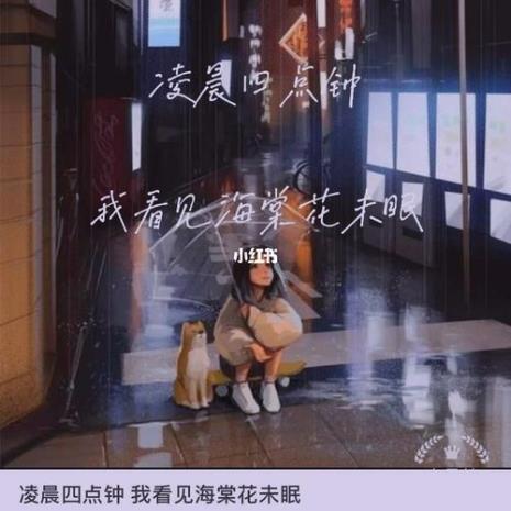 凌晨四点海棠花未眠完整语录