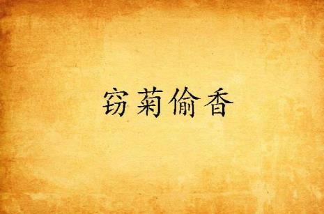 偷香高手里的胡夫人是谁
