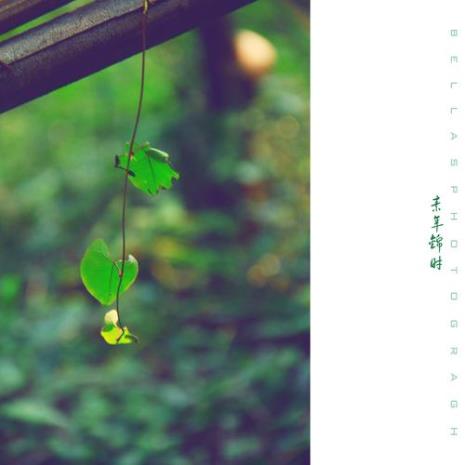 岁月如斯是什么意思