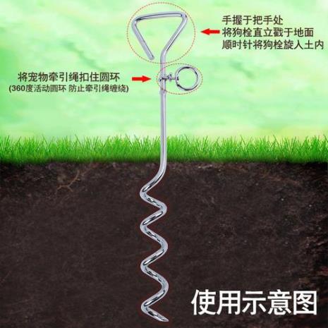 拴绳暂时固定的方法