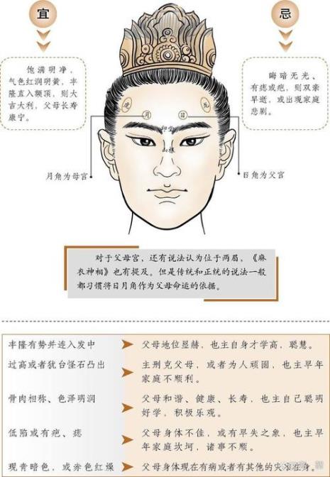 什么是子女宫