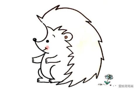 一年级简笔画刺猬