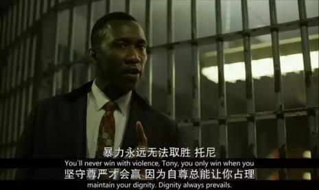 绿皮书什么意思