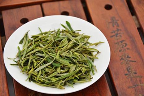 采摘黄金芽的最佳时间