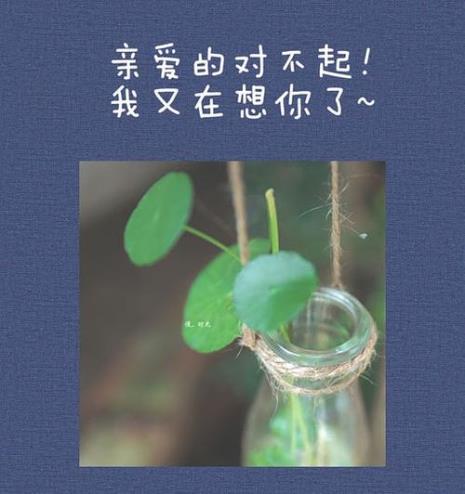 想你又能怎样是什么意思
