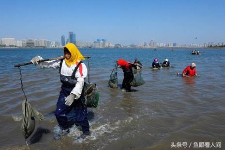 黄岛区唐岛湾赶海最佳地点