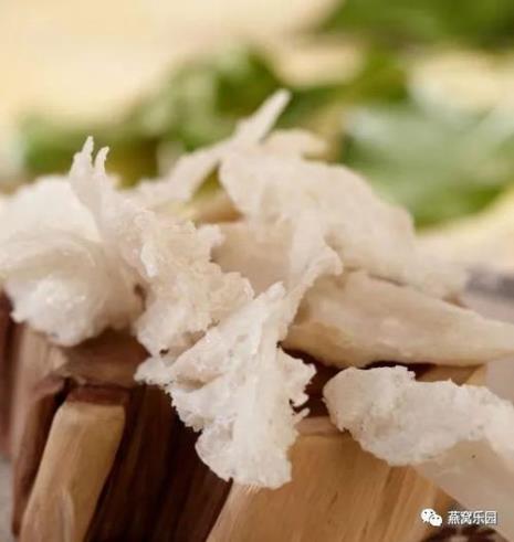 燕窝和燕角的区别