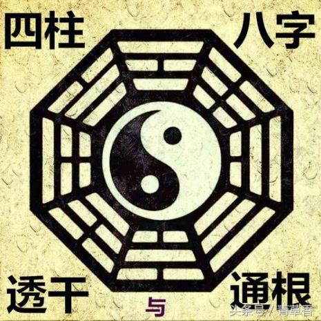 什么是丙火通根