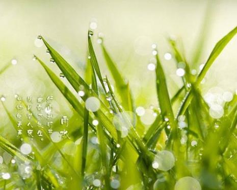 雨水多的季节是什么时节