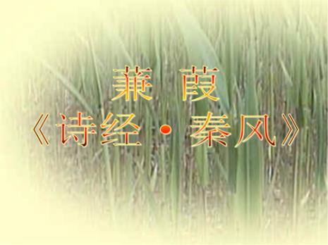 《蒹葭》的写作特色及主旨