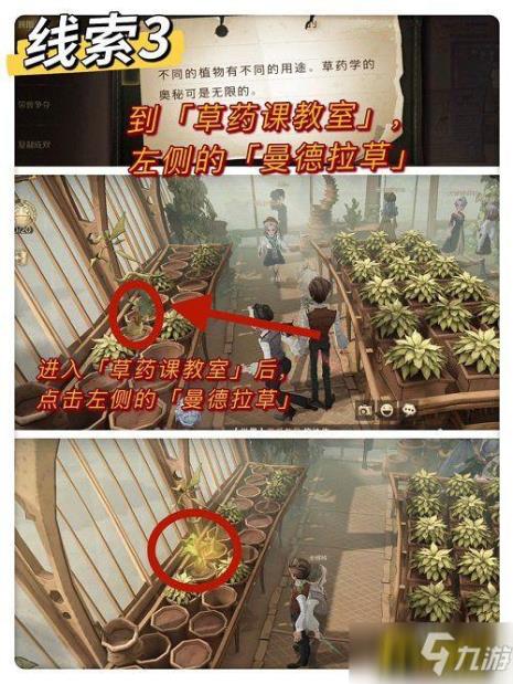 哈利波特里有多少植物