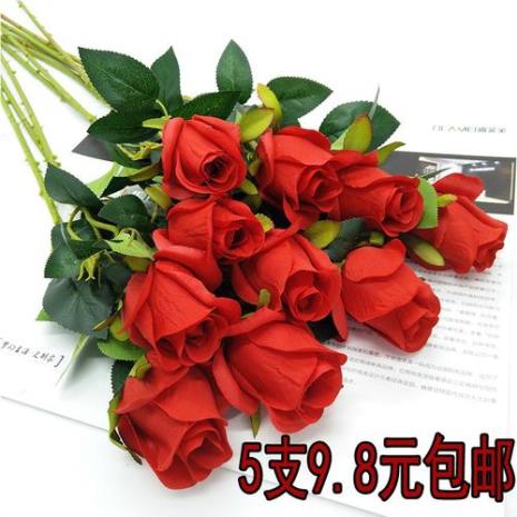 谁能知道怎样让玫瑰的花朵大