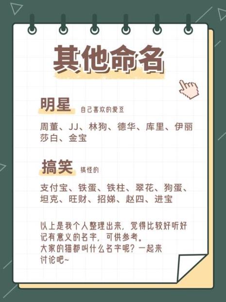 四喜猫名字