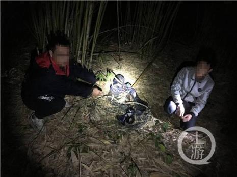抓野猪野鸡的工具有没有
