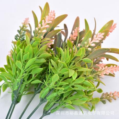 鲜花包装的配草有哪些
