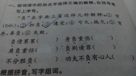 芽组什么词