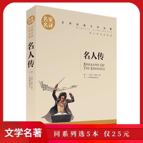 米开朗基罗传主要内容50字