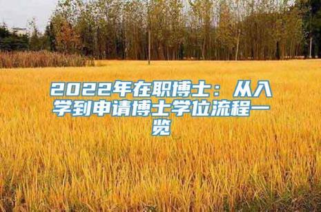 英语专业硕博连读要几年