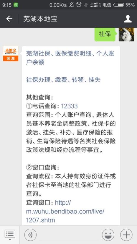 12333查询个人账户每月余额