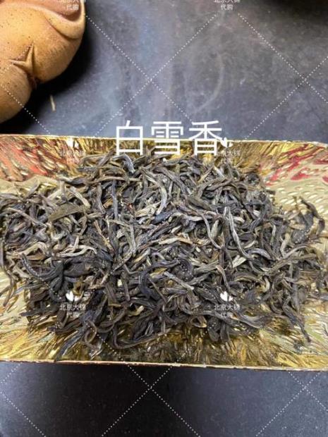 茉莉白龙属于什么茶