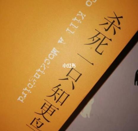 早更鸟是什么意思
