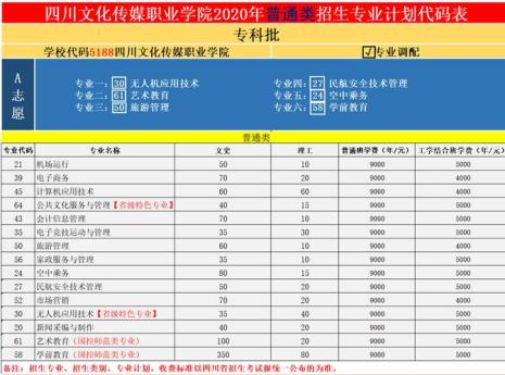 四川传媒学院国际教育学院学费