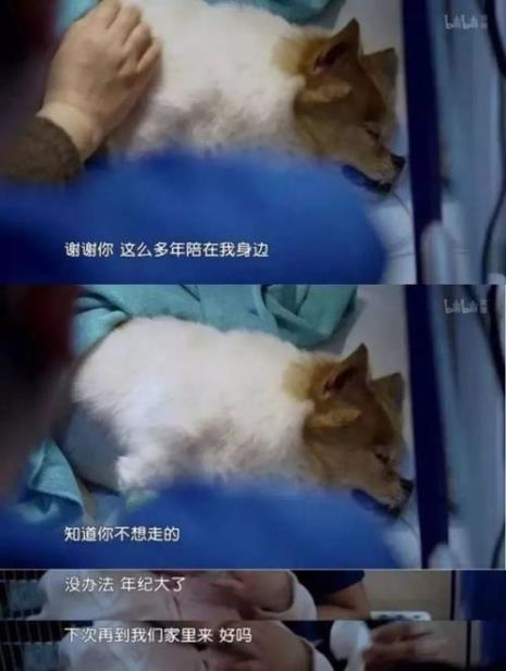 与虫同眠写出了作者什么样感情