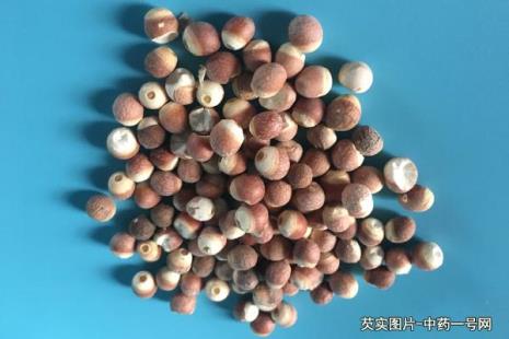 芡实树是什么样子