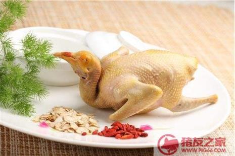 鸽子肉红烧的做法