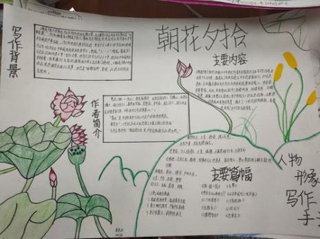 朝花夕拾手抄报内容
