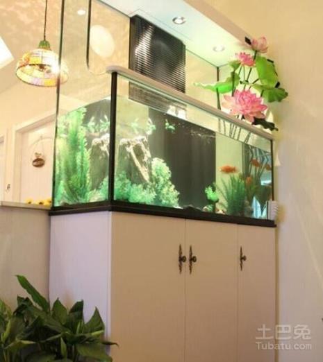 晒鱼缸的正确方法