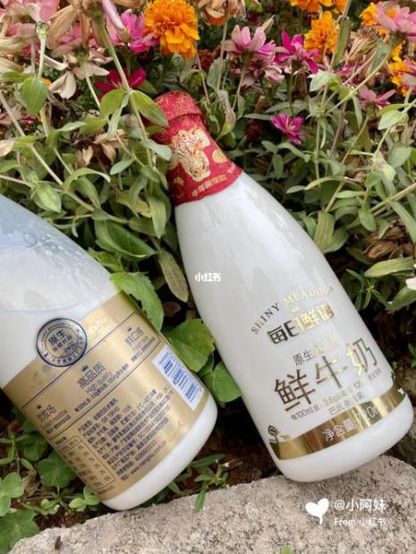 纯牛奶的神仙喝法