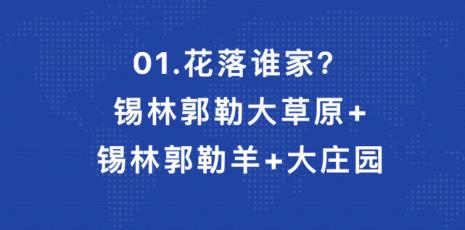 全球四大黄金草原