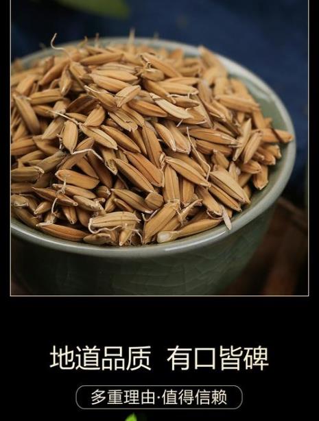 稻芽在水里能生存多久