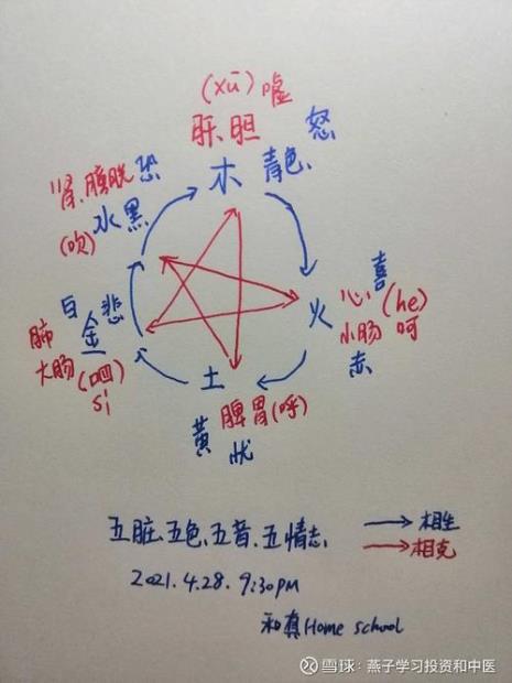五音中宫的释义