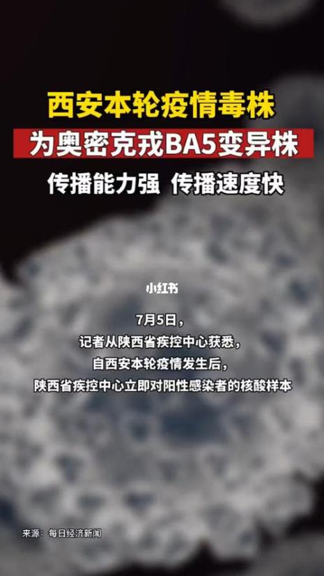 奥戎密克特点