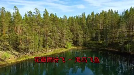 关于大雨纷飞的歌曲