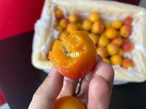 吊干杏的做法