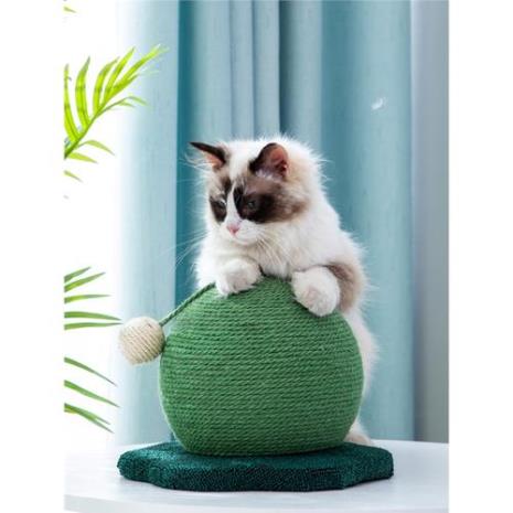 猫咪用麻绳用多少mm