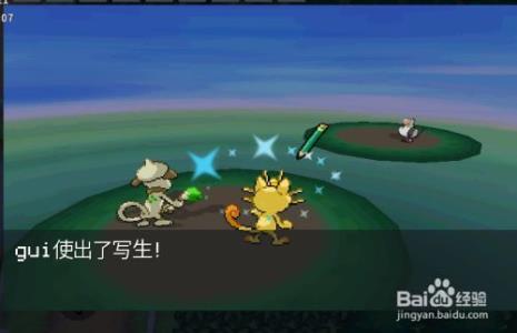 pokemmo觉醒之石在精灵身上怎么用