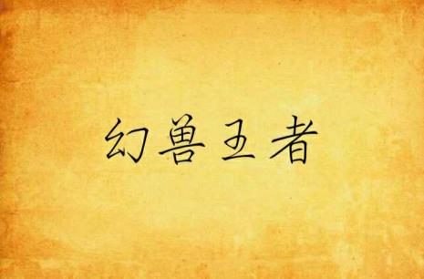 御兽王者一人有几个幻兽