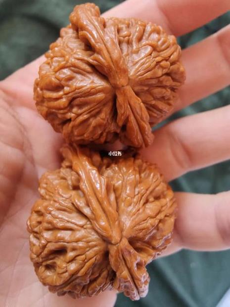 三角白狮子头好不好