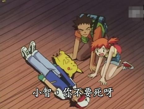 两只皮卡丘的小故事