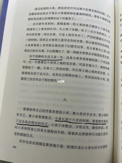 人间粮食中的精神食粮读后感